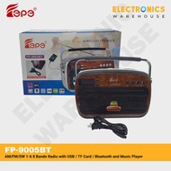 FEPE FP-9005BT AM/FM/SW 1-6 8 Bands Radio with USB / TF Card / Bluetooth and Music Player