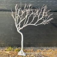 Trunk Branch Landscaping Trunk Halloween Tree Decoration Tree Log Branch Home Modeling Branch Trunk