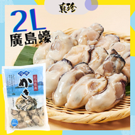 日本 SANYO 廣島蠔肉 2L [煮食用] 500G (急凍-18°C)