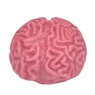 authentic New Jumbo Novelty Squishy Brain Toy Squeezable Fun Toys Relieve Stress Ball Cure Toy Soft