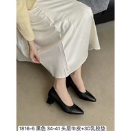 Moda Paolo Ladies leather shoes (18166ST)