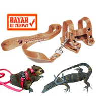 Tali Harness H [Size S] (Coklat) Penuntun Hewan harnes Kecil Tupai Sugar Glider Landak Mini Anak Bia