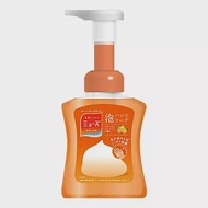 日本【MUSE】抗菌泡沫洗手乳250ml橘色橘香