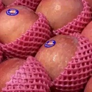 buah apel 1kg