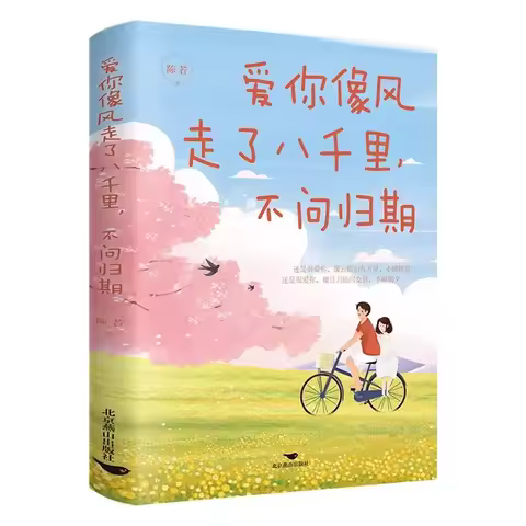 Novel Love You Like The Wind, Walking Eight Thousand Miles Without Asking about The Return Date, A Y
