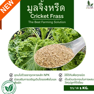 ฟาร์มบ้านเรา มูลจิ้งหรีด Cricket Frass ปุ๋ยมูลจิ้งหรีด 100% บรรจุถุงละ 1 Kg. / ปุ๋ยขี้จิ้งหรีด มีธาต