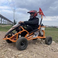 Go-kart, go-kart off-road, bertenaga elektrik dan petrol, pertandingan di tempat rekreasi ibu bapa-a