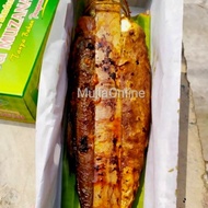 Otak-Otak Bandeng Bakar Bu Muzanah Khas Gresik Surabaya