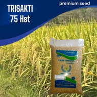 Benih Padi bibit padi TRISAKTI Kemasan 5 kg Original Berkualitas