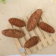 Christmas Decorations Pine Cones Accessories Pine Balls Spruce Pine Christmas Pine Cones Long Pine C