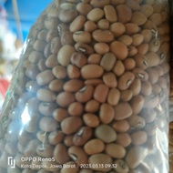 Kacang Tolo | Kacang Tolo Merah Kiloan | Kacang Tolo Segar