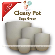 NEW Sage Green Classy Plastic Pots | Minimalist TIMBA | Pots for Plants Big Size(Holes upon Request)