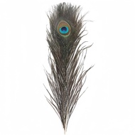 10PCS Peacock Eye Tail Feather 25-50cm Natural Peacock Feather Exquisite Peacock Feather Craft Decor