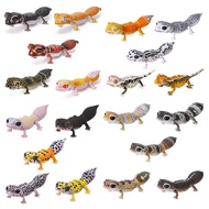 Bandai Encyclopedia of Biological Knowledge Fat-tailed gecko Round-tailed Gecko Leopard gecko Action