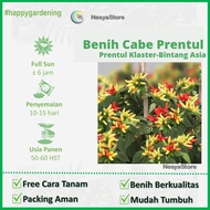 30 - Benih Cabe Cabai Rawit PRENTUL KLASTER Bintang Asia