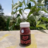 Red Bloodys Pellets Fish Food Channa Red Maru, Limbata, Auranti, Stewarti, Andrao, Barca, Pulchra, A