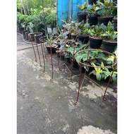 rak besi pot bulat / rak tanaman ukuran pot 30cm tinggi 30 cm -tembaga