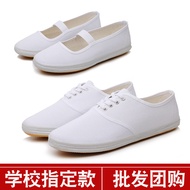 White Shoes Canvas Shoes Sports White Sneakers Day 6 White Shoes White Cloth Shoes Dance Shoes Danci