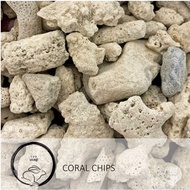 (SG Seller) Coral Chips (Usagi) 珊瑚块装饰 1kg