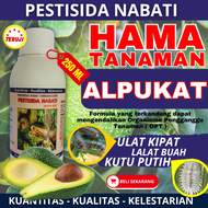 Obat Hama Ulat Alpukat / Obat Hama Daun Alpukat / Obat Pembasmi Kutu Putih Hama Tanaman Buah Alpukat