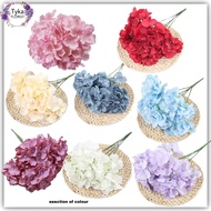 [hydrangea]5 big head hydrangea for weeding deco/home deco