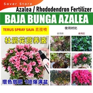 杜鹃花专用肥杜鹃花营养液 Baja Azalea/ Rhododendron simsii Fertilizer Azelia Bunga Azelia