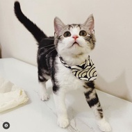 三角頸巾 - 青海波花布