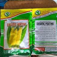 BENIH BIBIT JAGUNG MANIS EXOTIC PERTIWI