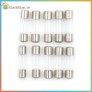 BBLUE 10pcs Glass Tube Fuse 5mm x 20mm 1.6A T1.6A 250V Slow Blow 1.6Amps .