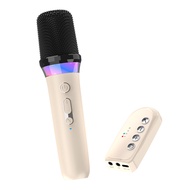 Original DS-K2 Karaoke Companion Bluetooth 5.3 Wireless Moving-Coil Microphones RGB Colorful Light K