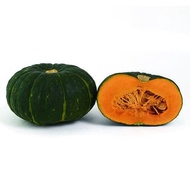 【丸順農業】日本種迷你貝貝栗子南瓜(20kg/箱，250~400g/顆)