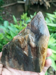 FOSIL STIGI LAUT SERAT CENDANA KRIATAL