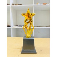 Unique Star Trophy Cheap Award Trophy