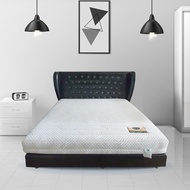 สินค้า VENTRYที่นอนยางพาราธรรมชาติ100% แบบ 7 Zone รุ่น MODA หนา 8 นิ้ว ~ฟรีหมอนหนุน+หมอนข้าง ส่งฟรี