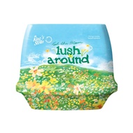 King's Stella x Give me museums เจลหอมปรับอากาศ สดชื่นราวอยู่ท่ามกลางสวนดอกไม้ 4 สไตล์ Feel The Bloo