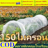 200/150/120ไมครอนหนา พลาสติกคลุมโรงเรือน กันฝน พลาสติกใส เรือพลาสติก พลาสติก หลังคา ผ้ายางใส ผ้าใบใส