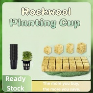 Home Hydroponic Rockwool Hidroponik Set | Balcony Vegetable & Herb Growing