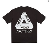 Palace Arc'teryx T-shirt