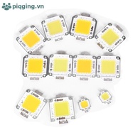 Piqging 1pc cob led light dc led bulb chip on board 10W 20W 30W 50W 70W 100W 2 colors VN