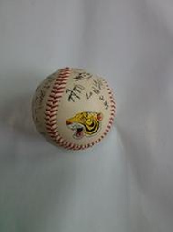 中華職棒-CPBL-三商虎-全隊印刷簽名LOGO球 紀念球