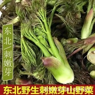 Northeast Thorn Dragon Sprout Seed Thorn Tender Sprout Seed Thorn Old Bag Seed Thorn Bag Sprout Seed