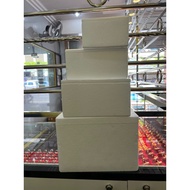 Ice Box ( Gabus ) Utk Pembelian Keropok Lekor Shj