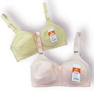 💋🔥 BRA MAPLE TIADA SPAN 💋🔥