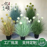 Plant Green Plant Simulation Grass Simulation Explosion Model Dandelion Simulation Floor Dandelion G