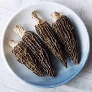 精選羊肚菌（1両）