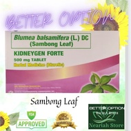 Sambong Leaf 100 tablets(Kidneygen Forte)