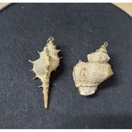 Genuine Shell Pendant From China (EEE 11/3) ️