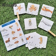 Phonics initial letter clip card