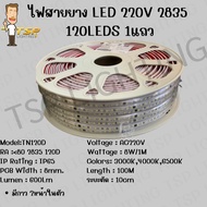 TSP ไฟสายยาง LED 220V 2835 240LEDS 1 แถว