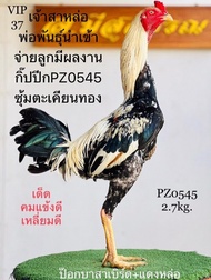 ไข่เชื้อไก่ชน ส.มีสุวรรณ100% เจ้าสาหล่อ ร้านส่งไว